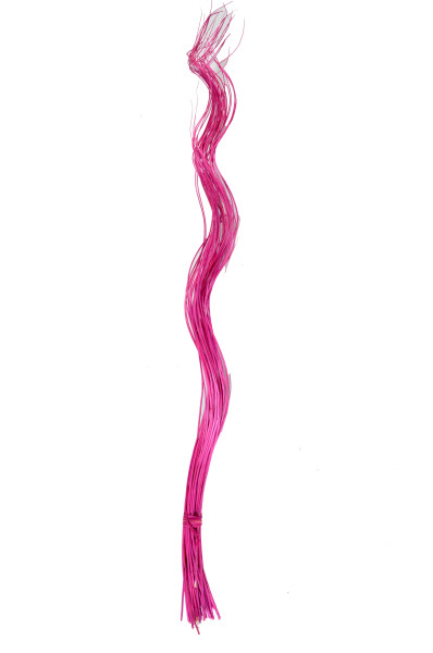 Weiden Curly fuchsia ca.80cm